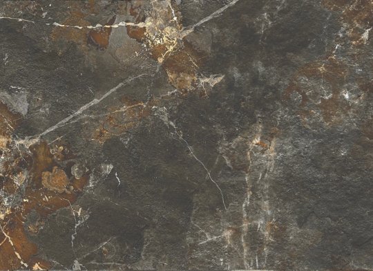 Keramická dlažba Geology Fossil