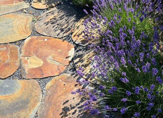 Šlapáky břidlice TOP-BP Rusty Slate-Malé