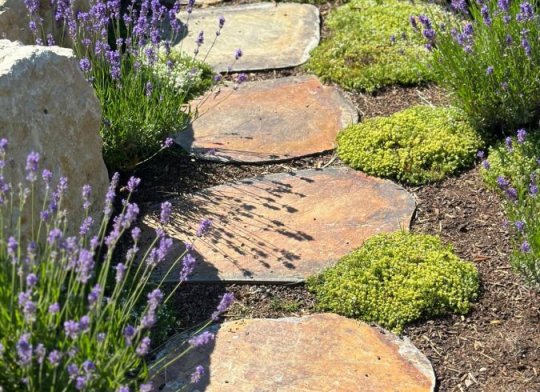 Šlapáky břidlice TOP-BP Rusty Slate-Velké