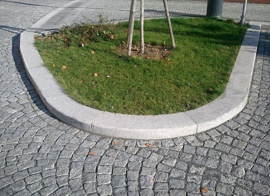 OBRUBNÍK PRAVIDELNÝ-OBLÝ